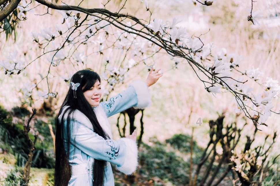 全民剧本大师内置菜单